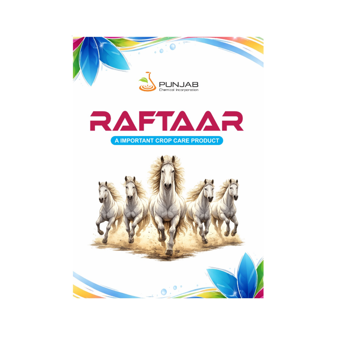 Raftaar