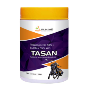 Tasan