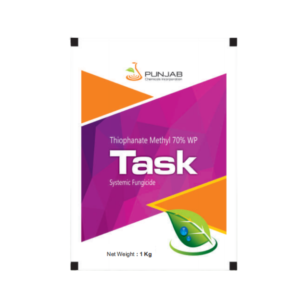 Task