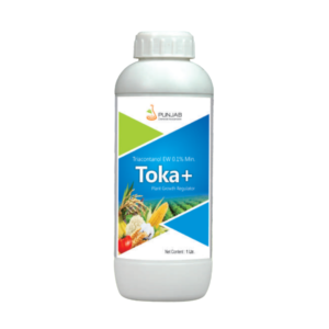 Toka Plus